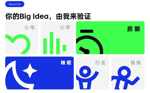 OPPO開發者大會前瞻 車機互融、智能服務與健康生態引領未來